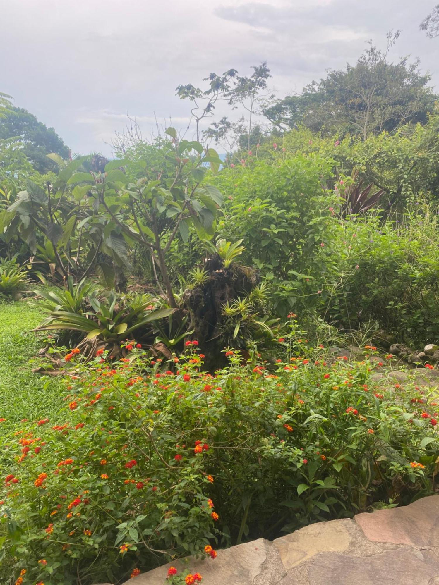Birds & Breakfast Costa Rica Bed and Breakfast La Tigra  Buitenkant foto