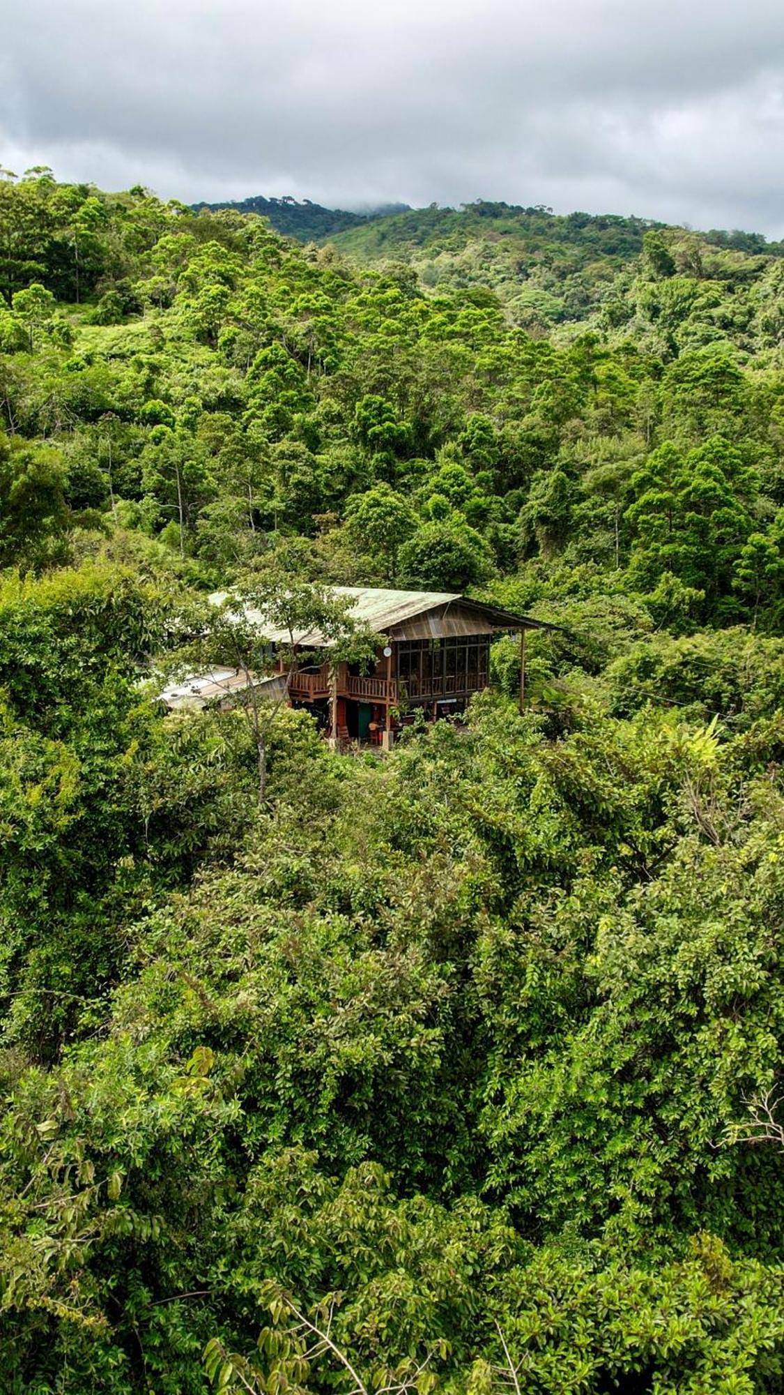 Birds & Breakfast Costa Rica Bed and Breakfast La Tigra  Buitenkant foto